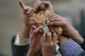 What Is The Solution To Global Food Crisis
